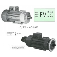 RADIO-ENERGIE變速電機 FV系列