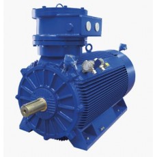 MarelliMotori 電機(jī)D5H系列