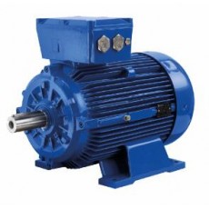 MarelliMotori 電機(jī)D5T系列
