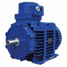 MarelliMotori 電機(jī)D5Y-D6Y-D5V系列