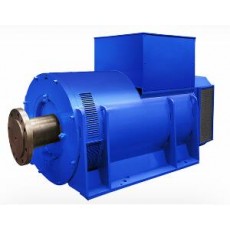 MarelliMotori 發(fā)電機(jī)MJBM系列