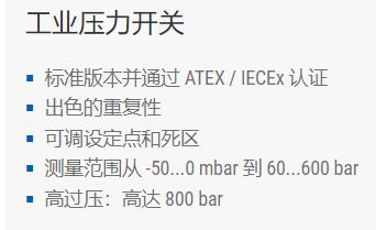 Bourdon 工業(yè)壓力開關系列