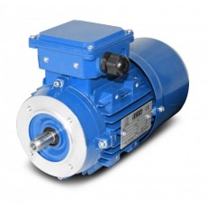 SEVA 制動電機(jī)BMS 100L2-3 kW系列