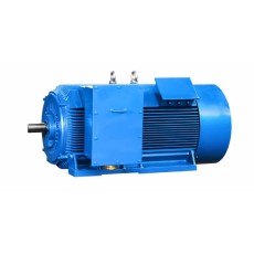 SEVA 中壓電機(jī)315X1-2-185kW-2pol-B3